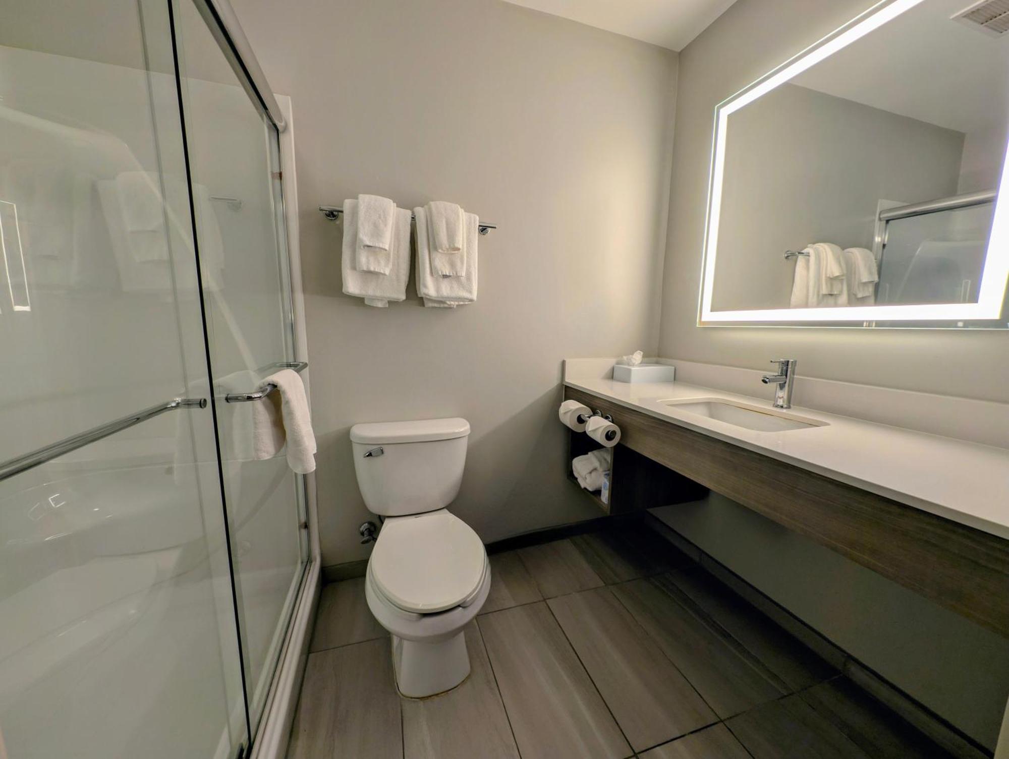 Holiday Inn Carbondale - Conference Center By Ihg Zewnętrze zdjęcie